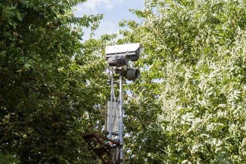 CCTV camera hidden behind trees recording video Stock Photos