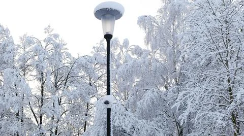CCTV Camera on a Lamp Pole against a Background of Snow-covered Trees Stock Photos