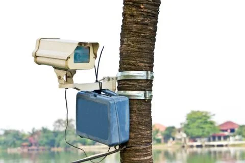 Cctv camera on tree Foto stock
