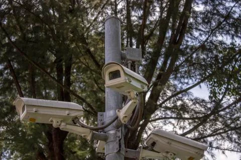 CCTV in the park Foto stock