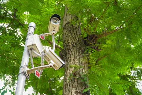 CCTV Security Camera in garden on tree green nature background 스톡 사진