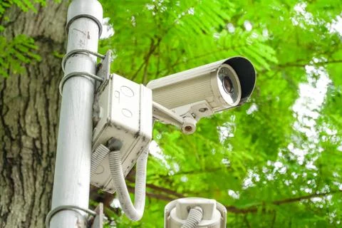 CCTV Security Camera in garden on tree green nature background Foto stock