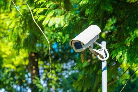 CCTV security camera for surveillance in green park 库存照片