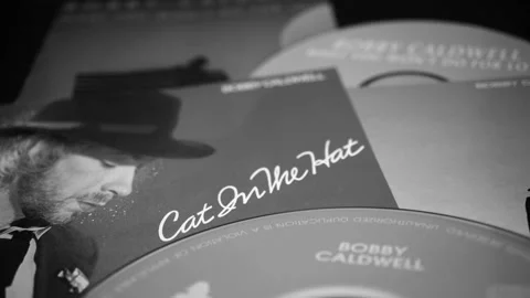 CD and artwork of American singer-songwriter, multi-instrumentalist and com.. Stock Footage 236655771