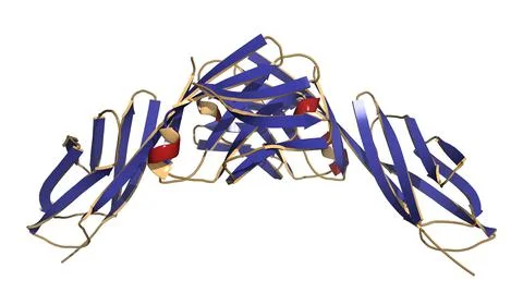 CD4 surface protein. 3D Illustration. Stock Illustration