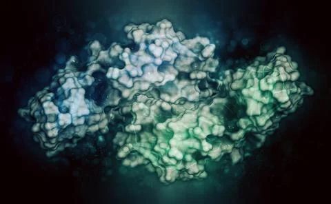 CD4 surface protein. Glycoprotein present on a number of white b Stock Illustration