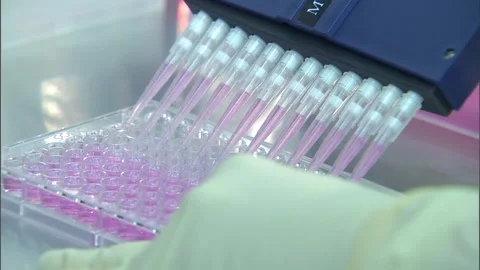 CDC Biosafety Lab Multichannel dropper lab worker Stock Footage 242448183