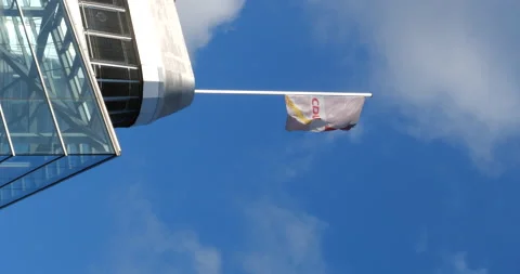 CDU Flag in Wind vertical Stock Footage 205792365