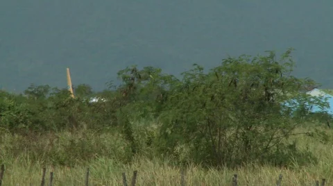 Cebu airline plane taking off Stock-Footage 489277