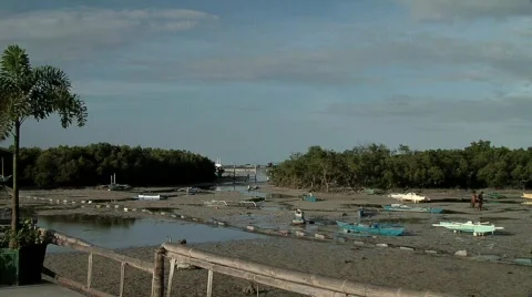  Cebu Beach  Stock Footage 695885