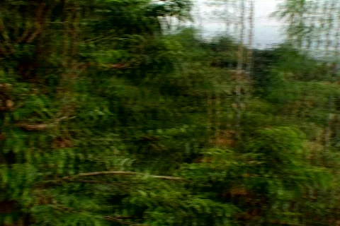 Cebu pan to village Stock Footage 491988
