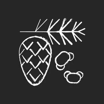 Cedar and pine tree pollen chalk white icon on black background Stock Illustration