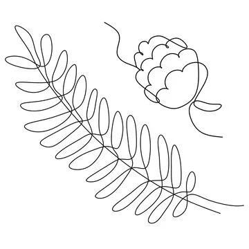 Cedar and pine tree pollen linear icon. Branch with needles, fir cone. Contin Stock Illustration