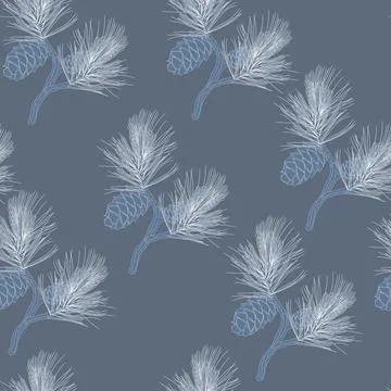 Cedar branch with a cone vector stock illustration. Stock Illustration