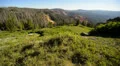 Cedar Breaks LM19 North View HD Footage