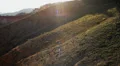 Cedar Breaks LM20 Marmot North View HD Footage