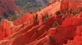 Cedar Breaks LM38 Telephoto HD Footage