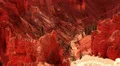 Cedar Breaks LM39 Telephoto HD Footage