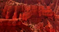 Cedar Breaks LM42 Telephoto HD Footage