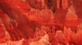 Cedar Breaks LM43 Telephoto HD Footage