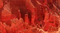 Cedar Breaks LM44 Telephoto HD Footage