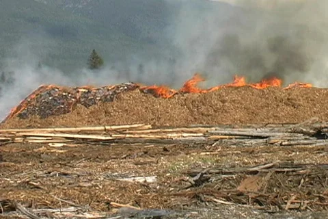  Cedar chip pile on fire Stock-Footage 142680