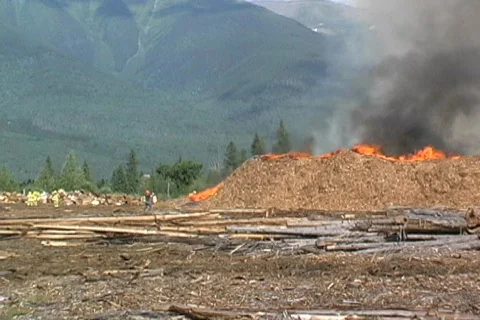Cedar chip pile on fire Stock Footage 142700