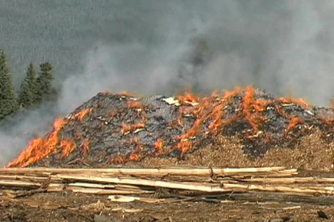 Cedar chip pile on fire Stock Footage 142708