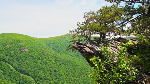 Cedar Cliffs hiking trail in Wintergreen Resort Virginia, Blue Ridge mountains Vídeo Stock 316503987