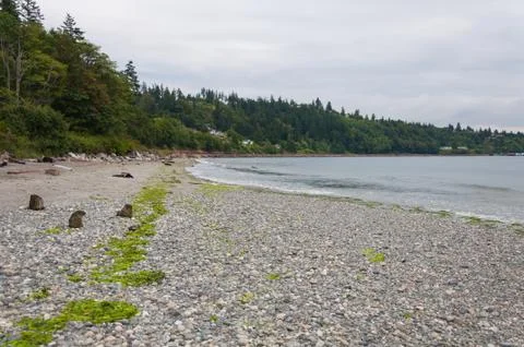 Cedar Coast Stock Photos