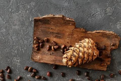 Cedar cone and nuts on a stone table Stock Photos