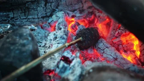 The cedar cone is fired at the stake to get rid of the resin Stock Footage 143929419