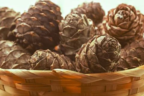 Cedar cones in a basket Stock Photos
