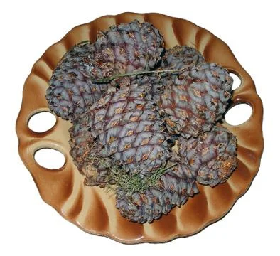 Cedar cones on a dish Stock Photos