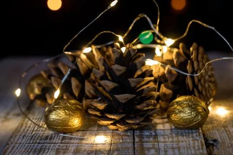 Cedar cones with grated walnuts Stock Photos