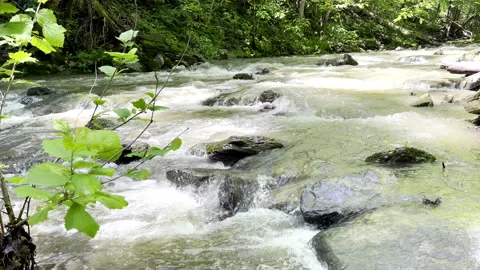 Cedar Creek rock crossing Stock Footage 335482743