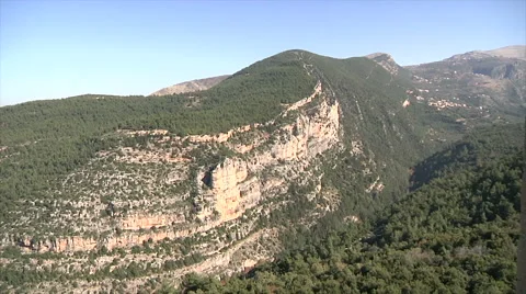 Cedar forest pan Stock Footage 58209461
