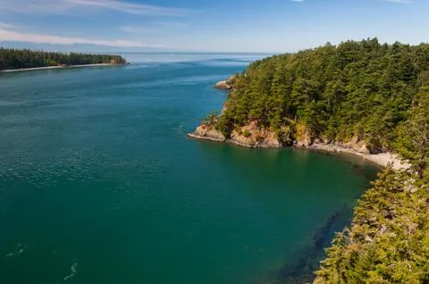 Cedar forests Stock Photos