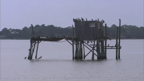 Cedar Key Docks 스톡 동영상 86330784