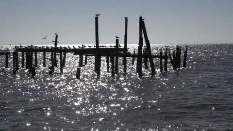 Cedar Key, Florida, historic waterfront. 4K 스톡 동영상 81102389
