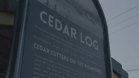 Cedar log tree trunk memorial attraction sign in Lismore NSW Australia Video stock 158977237
