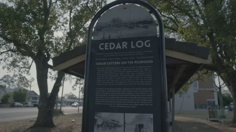 Cedar log tree trunk memorial attraction in Lismore, NSW Australia Video stock 158977292