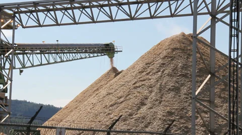 CEDAR MULCH PLANT MS Video stock 36480428