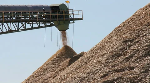 CEDAR MULCH PLANT TS Video stock 36480405