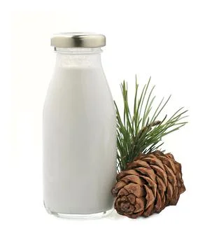Cedar nut milk in bottles with cedar nuts on white backgrounds. Foto stock