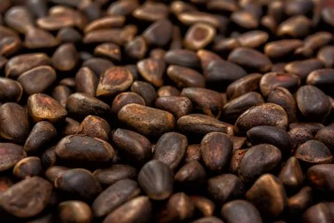 Cedar nuts background Foto stock