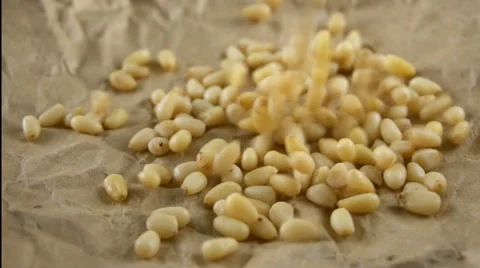 Cedar nuts falling on parchment. Slow motion video Stock Footage 67701732