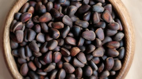 Cedar nuts Stock Footage 127219685