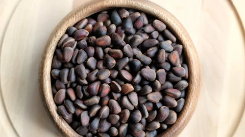 Cedar nuts Stock Footage 127219693