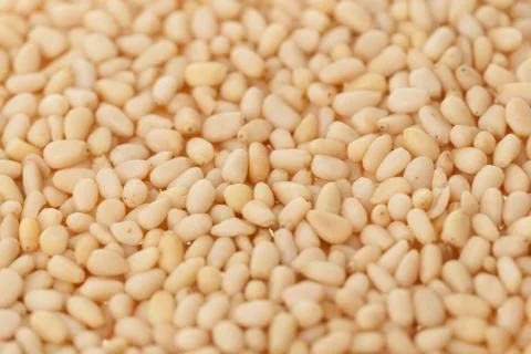 Cedar nuts Stock Photos